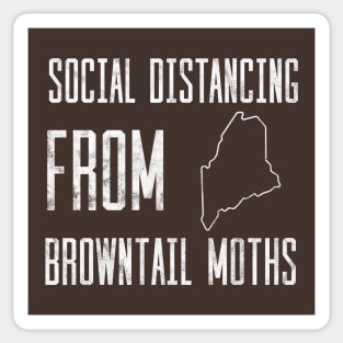 Social Distancing from Browntail Moths in Maine Sticker